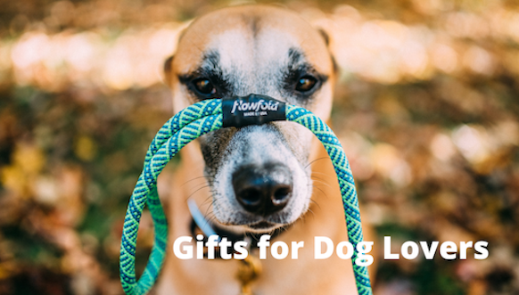 Best Dog Gifts