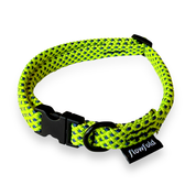 Neon green and blue braided dog collar with a black buckle on a white background