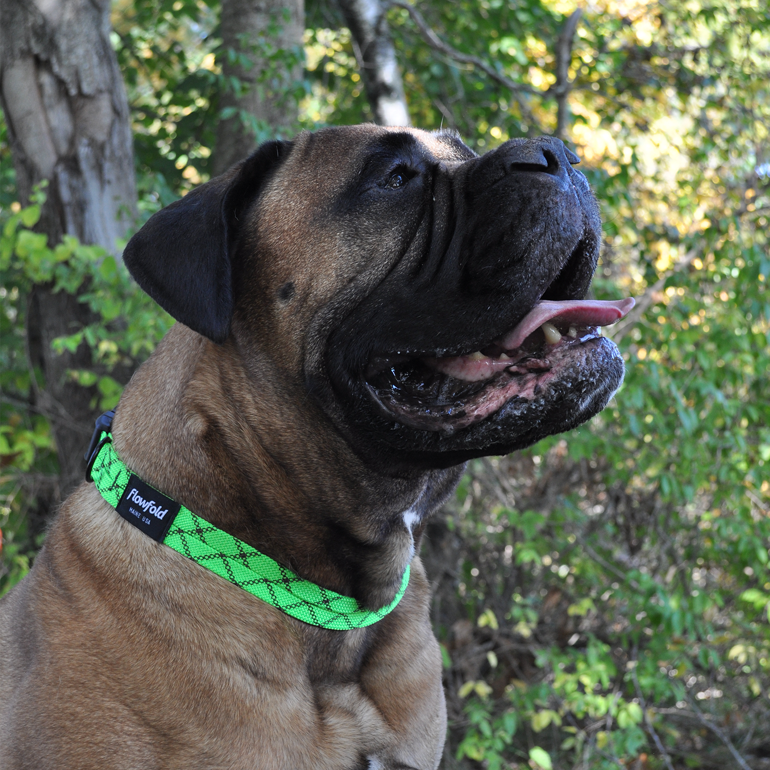 Trailmate Recycled Rope Dog Collar