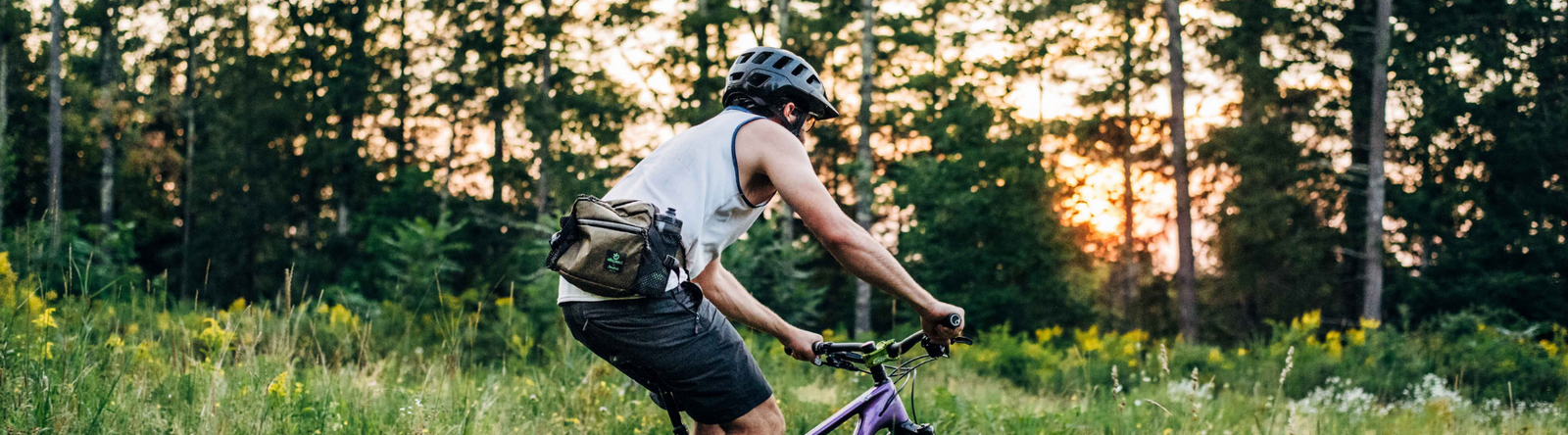 Allspeed cycle online