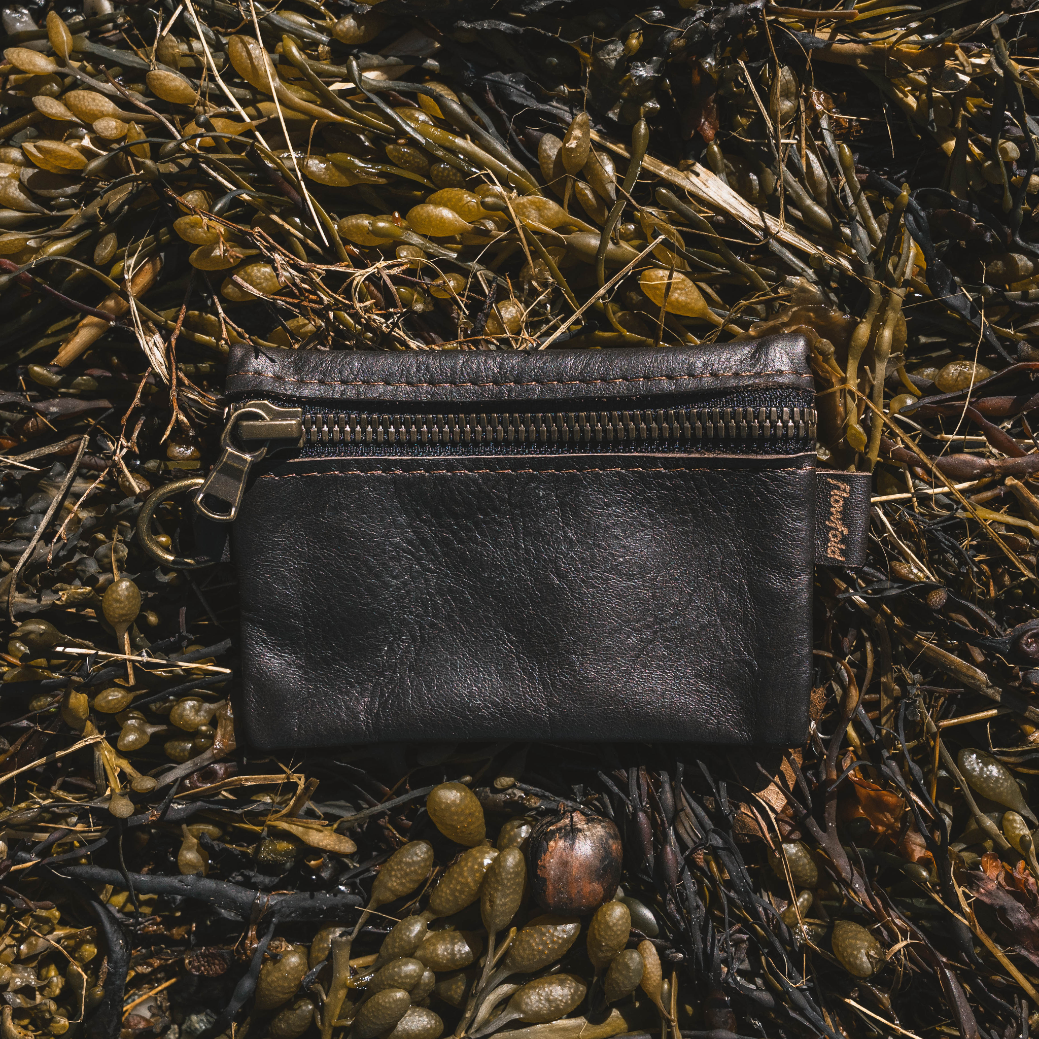 Dark brown leather wallet on a bed of seaweed