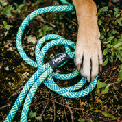 Flowfold Coastal Dog Kit: Recycled Climbing Rope Leash + Collar Set, Blue/Green