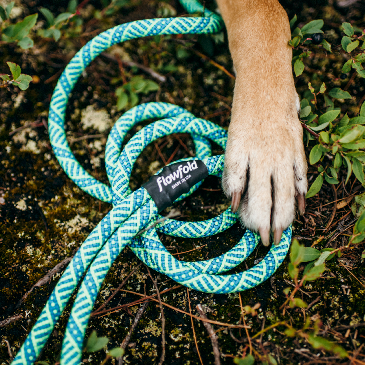 Coastal Dog Kit: 6ft Recycled Climbing Rope Dog Leash + Collar – Flowfold